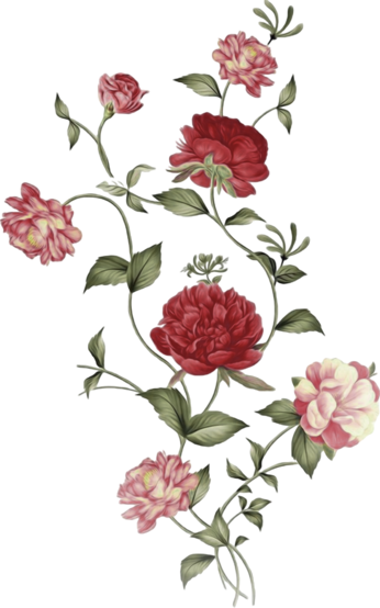 Ornament