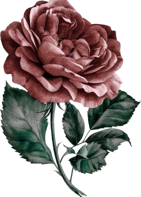 orn-gift