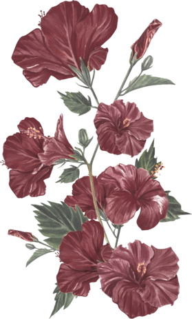 orn-gift