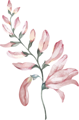 orn-gift
