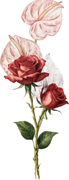 orn-gift
